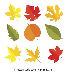 Autumn leaves set. Red, yellow, green flat icon. Isolated on white, vector
