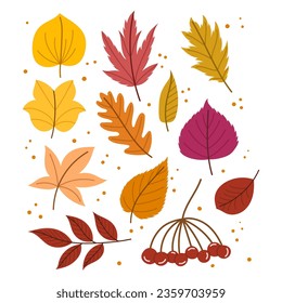 Autumn Leaves Set Showcases Nature Transition With Warm-hued Foliage. Rustling Red, Yellow, Orange Leaves Create A Serene Atmosphere, Capturing The Beauty Of Fall. Cartoon Vector Illustration