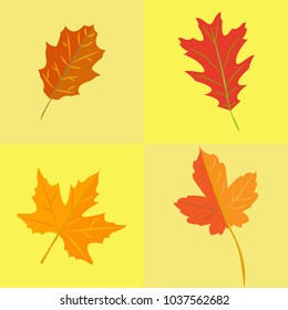 autumn leaves set. simple cartoon flat style, vector illustration.