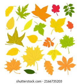 Autumn leaves set simple vector minimalist concept flat style illustration, multicolored hand drawn natural floral elements set for invitations, greeting cards, booklet, autumn holiday decor