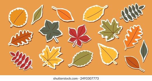 Autumn leaves set. Autumn leaves stickers isolated.