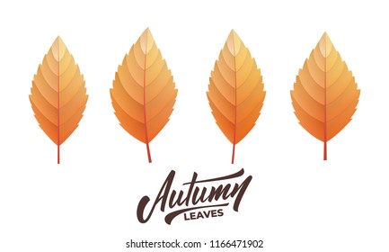 Hojas de otoño. Juego de hojas de otoño y letras a la moda