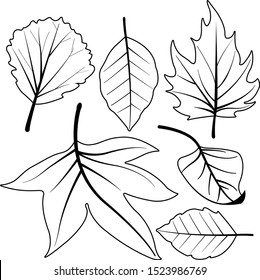Hojas secas de otoño. Página de coloreo en blanco y negro vectorial.