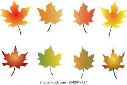 Diseño vectorial de hojas de otoño
