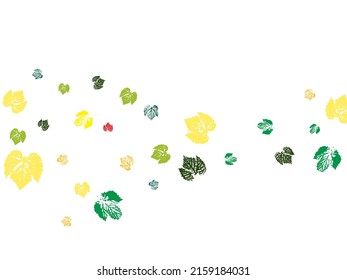 autumn leaves. Set of vector drawings with acrylic paints Vector illustration. Hi detailed texture of forest leaves