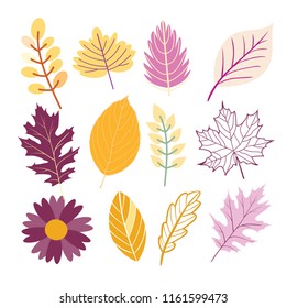 Autumn leaves set - vector flat design set