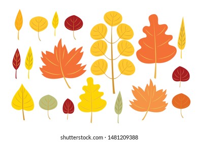 Autumn leaves set. Vector flat illustration isolated on the white background.