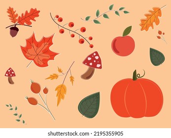 Autumn leaves set - vector flat design set