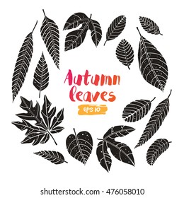 Autumn leaves set. Vector flat illustration.