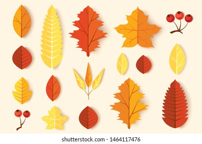 Autumn leaves set vector illustration EPS10