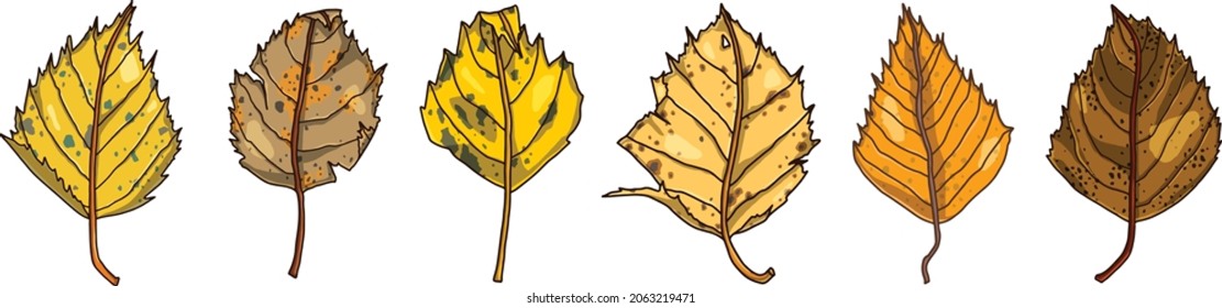 Autumn Leaves Set. Vector Illustration