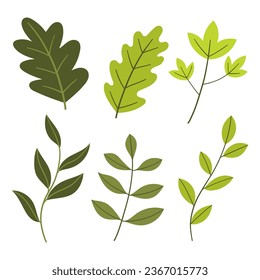 autumn leaves set vector illustration
