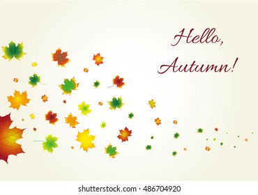 Autumn Leaves Set, Vector Illustration, october colorful