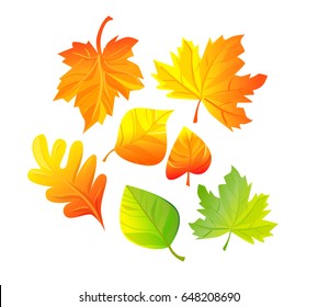 autumn leaves set vector illustration 