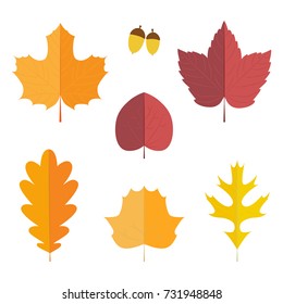 Autumn Leaves Set, Vector Illustration