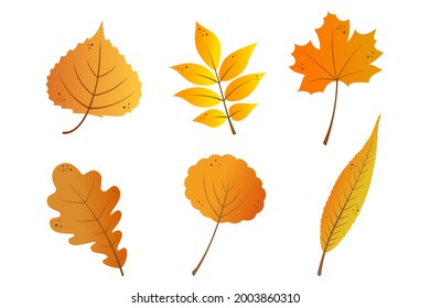 Hojas de otoño enmarcadas en colores gradientes amarillos, naranjas y rojos. Arce de caricatura, rowan, roble, sauce, álamos y tilo de hojas caídas del otoño. Aislado sobre fondo blanco. Ilustración de diseño de vectores.