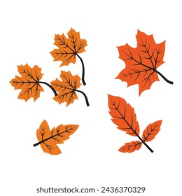 autumn leaves set,vector flat template