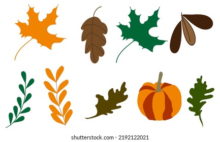 Autumn leaves. Set,vector. Pumpkin and leaves.