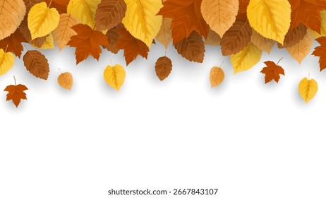 Autumn leaves with shadow, for frame and background. Vector illustration of frame made of beautiful autumn leaves. Colorful realistic autumn leaves for banner, poster, sale, cards and printing.