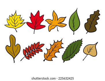 Autumn leaves shape in color