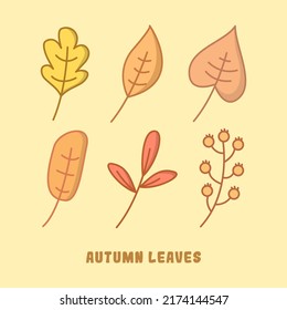 autumn leaves shape design on isolated background