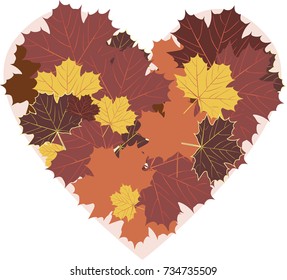 autumn leaves in the shape of heart