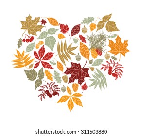 Autumn leaves in the shape of heart. Nature elements vector collection. Autumn leaves card. 