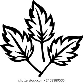 Autumn leaves silhouette in black color. Laser cutting eps10 vector template.