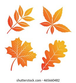 Autumn Leaves - silhouettes
