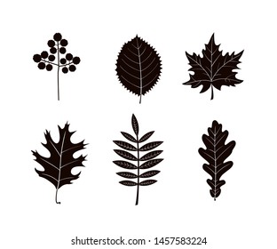 Autumn leaves silhouettes isolated on white background. Vector illustration