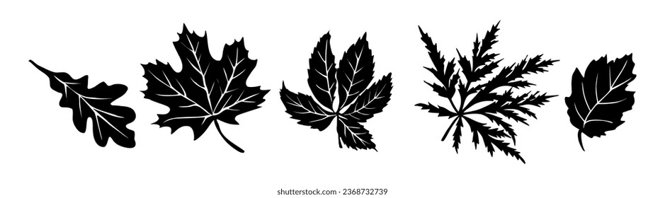 Der Herbst lässt Silhouetten setzen. Herbstlaub-Symbole. Modernes Design für saisonale Feiertagskarten, Aufkleber, Grenze, Banner. Vektormonochrome schwarze Illustrationen, einzeln auf weißem Hintergrund.	