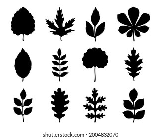 Der Herbst hinterlässt Silhouetten. Vektorgrafiken-Set-Illustrationen. Einzeln auf weißem Hintergrund. Flacher Stil. Einfache Anlagenumrisse für Papier- oder Laserschneiden und Drucken auf jeder Oberfläche.