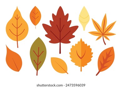 Autumn Leaves single set, minimal flat illustration on white background