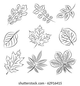 Autumn leaves sketch set