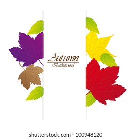 autumn leaves with space with copy over white background. vector