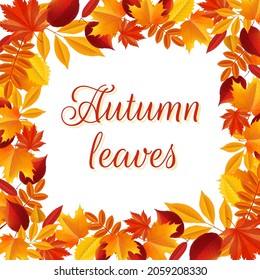Autumn leaves with square frame. Autumn background. Vector illustration. 