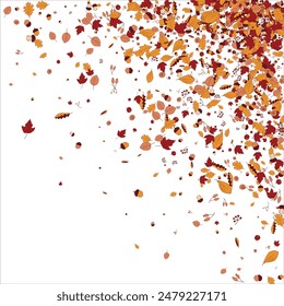 autumn leaves Square frame Background material designed branches. Vector illustration