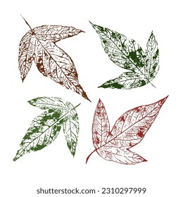 Autumn leaves stamps set. Vector herbarium elements.