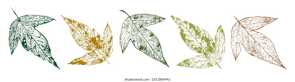 Autumn leaves stamps set. Vector herbarium elements.