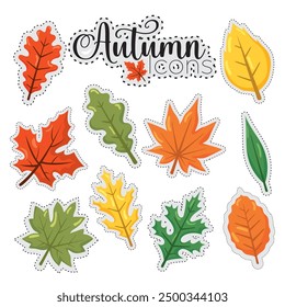 Autumn leaves stickers icons set Vector illustration