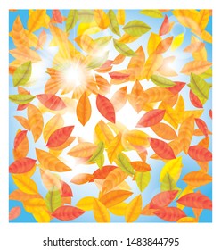 Autumn leaves and sun vector background 
