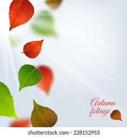 Autumn leaves in the sun. Vector background