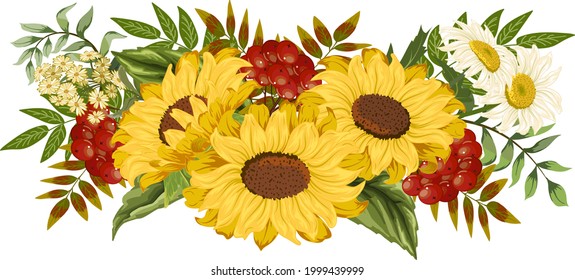 Autumn leaves and sunflowers in illustration.Vector illustration with sunflowers, autumn leaves and berries on a white background.