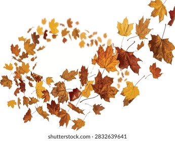 Autumn leaves swirl pattern – falling maple leaves circular design
