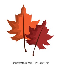 Autumn leaves symbol cartoon isolated vector illustration graphic design