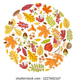 Autumn leaves and symbols in circle vector pattern. Cartoon illustration of leaves, mushrooms and plants placed in circle isolated on white background. Fall, design concept.