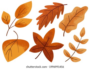 autumn leaves with texture set, isolated vector illustration
