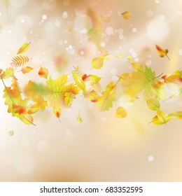 Autumn Leaves theme background. And also includes EPS 10 vector