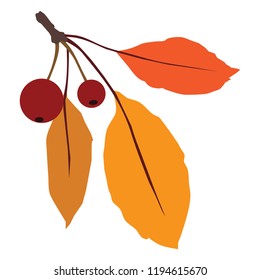 Autumn leaves tree branch vector illustration