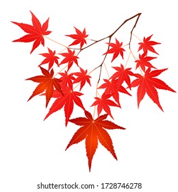 Autumn leaves Autumn tree icon